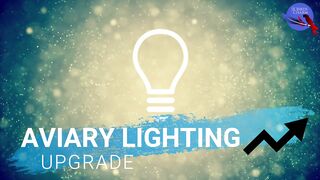 42 LIGHTING UPGRADE