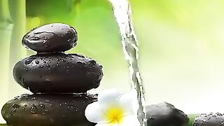 Relaxing Music Bamboo Water Fountain Meditation Music Sleep Music Piano Music Stress Relief Music