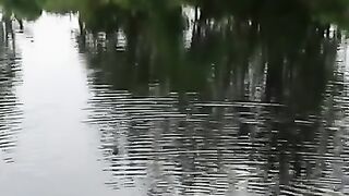Traditional fishing in Papua's swamp forest interior