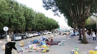 Beautiful Park in Saudi Arabia