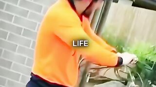 Heigh Heigh orange I Vibrant