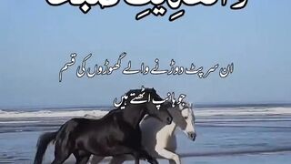 Surah al adiyat  urdu translation