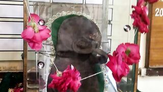 رسول ﷺ  کے