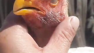 Is this beautiful
