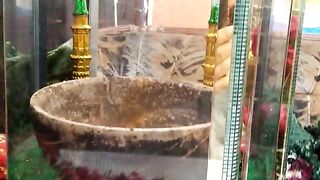 رسول ﷺ  کہ بارے  میں
