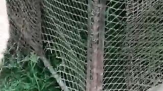 A bird eye view