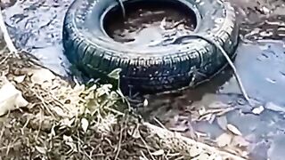 Unique Method for Cleaning Culverts