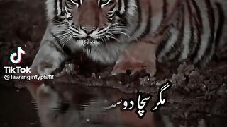 Reality of fake friends # fake friends # don't believe in fake friends # viral  # trending