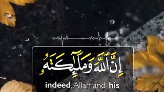 سورۃ الاحزاب????  قاری مصعب الحوشاني