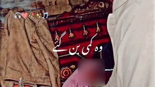 Han Hansi Ban Gaye