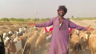 Entertainment