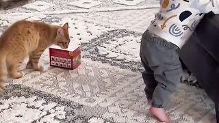 Cute baby with cat funny //My baby enjoy with cat
