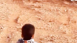 Funny videos