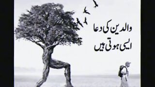 I love Father