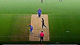 Cricket janoon