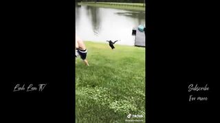VIRAL FUNNY VIDEOS  Compilation PART 5