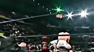 WWE. Amazing