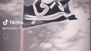 Ali mola