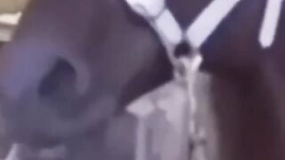 ????????????????????