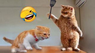 Hilarious Fun Challenge Gone Wrong! ???? | Laugh Your Way Through This Funny Video, #funnyvideo