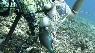 The Best Way to Catch Seafood | Asrafoul |