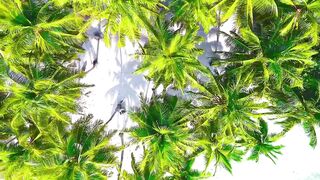 Maldives Island | Tour | Waoo Videos