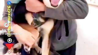 funny video