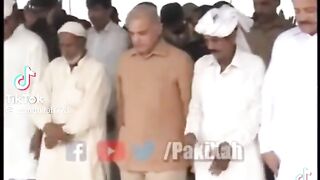 funny  video