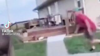 funny video