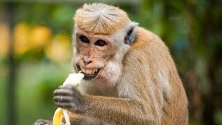 top funny video,funny videos,#funnyvideo,#entertainment