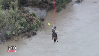 Horse Hoisted Into Air Rescued From River.