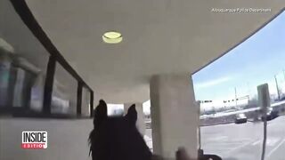 Police on Horseback Arrest Alleged Shoplifter.