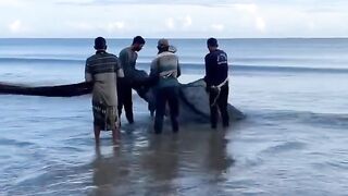 Pulling the trawl of the people of Aceh Indonesia
