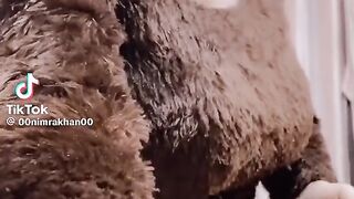 Best to funny videos.real funny videos. funny video.viral funny video.latest funny video