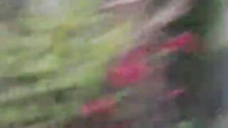 flowers in home