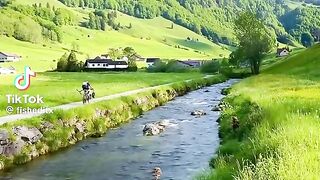 Nature video