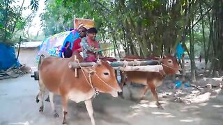Top_New_Funniest_Comedy_Video_????_Most_Watch_Viral_Funny_Video_2022_Episode_187_By_Busy_Fun_Ltd(360p). Upload