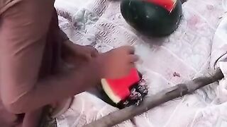 khargosh Mein Rang Kart hua Pakda Gaya