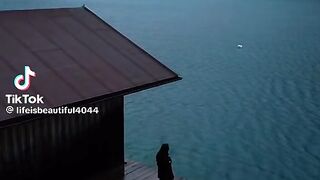 Nature video
