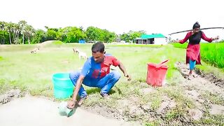 Amaizing_Top_Funny_Video_2021????Top_New_Comedy_Video_2021_Try_To_Not_Laugh_Episode_137_By_Busy_Fun_Ltd(360p).