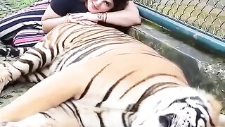 आदमी ने tiger के बच्चे को किस तरह पाला - Full heart touching story