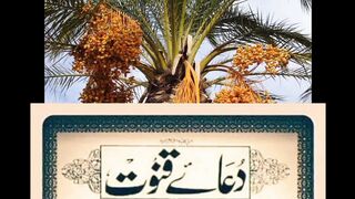 Dua Qunoot | Dua Qunoot Full |