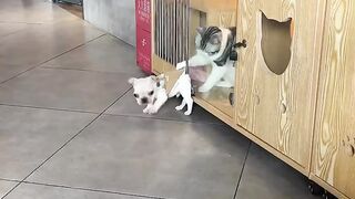 when dog clocks out early on Friday and the cat on the clock wants you to stay
