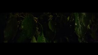 Cinematic Short in Night in Park .