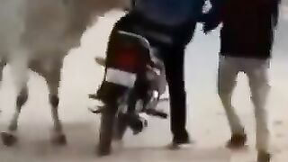 দারুন মজা.....!!!