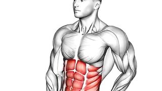 Perfect abs workout at home