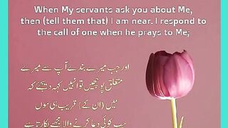 شرعی مسائل اور ان کا حل