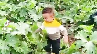 Just 4 fun