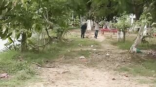 El felino travieso part-3 _viral_tendencias funny video ????????