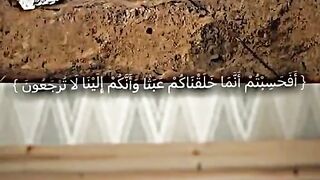 ،fffffffg
